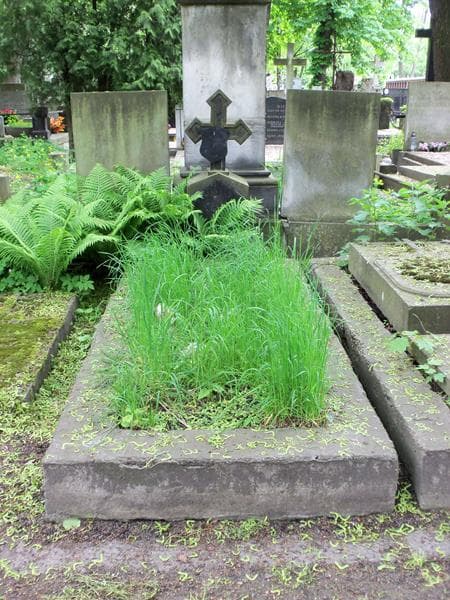 Zdjęcie grobu: Juljan Janowski