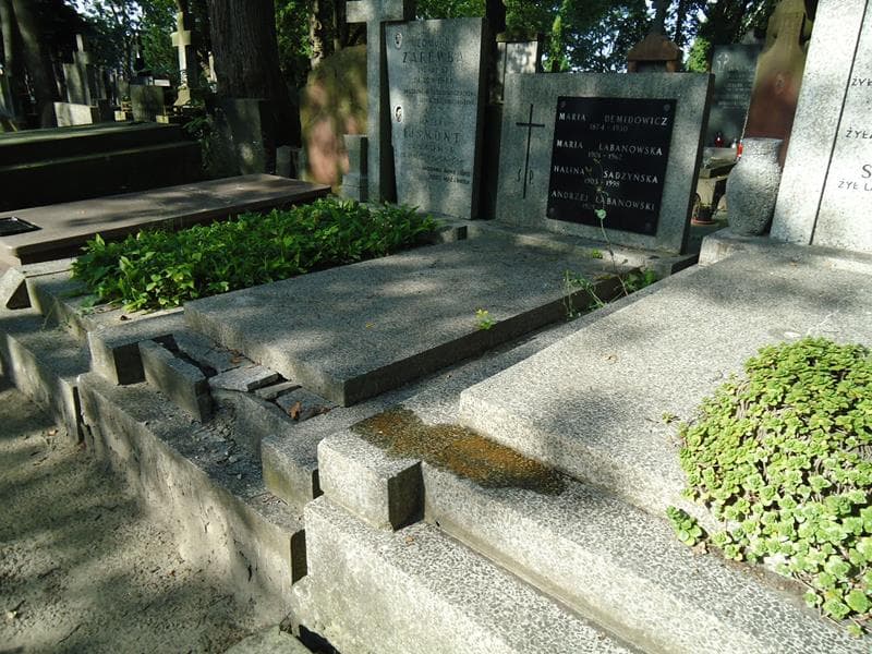 Zdjęcie grobu Maria Demidowicz (1)