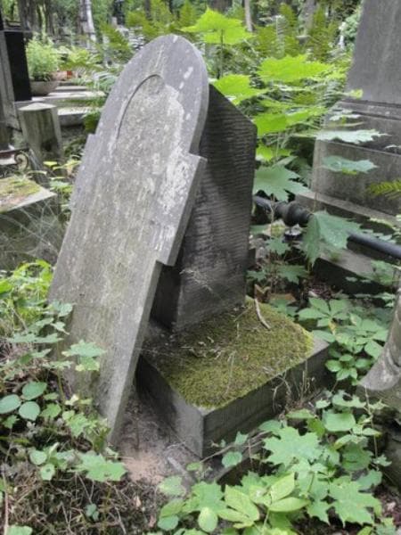 Zdjęcie grobu Zofja Rubinstein (2)
