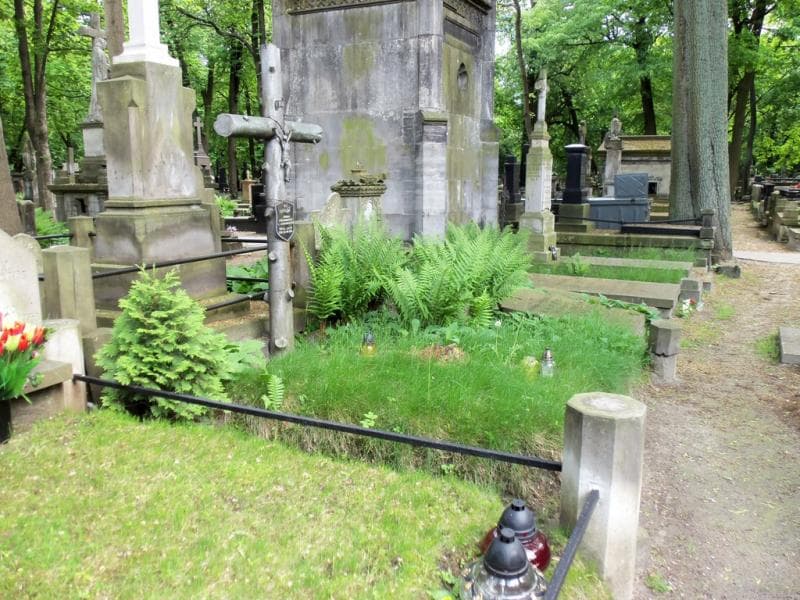 Zdjęcie grobu Karyna Janowska (1)