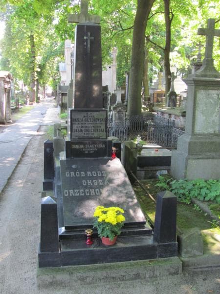 Zdjęcie grobu: Michał Oksza - Orzechowski