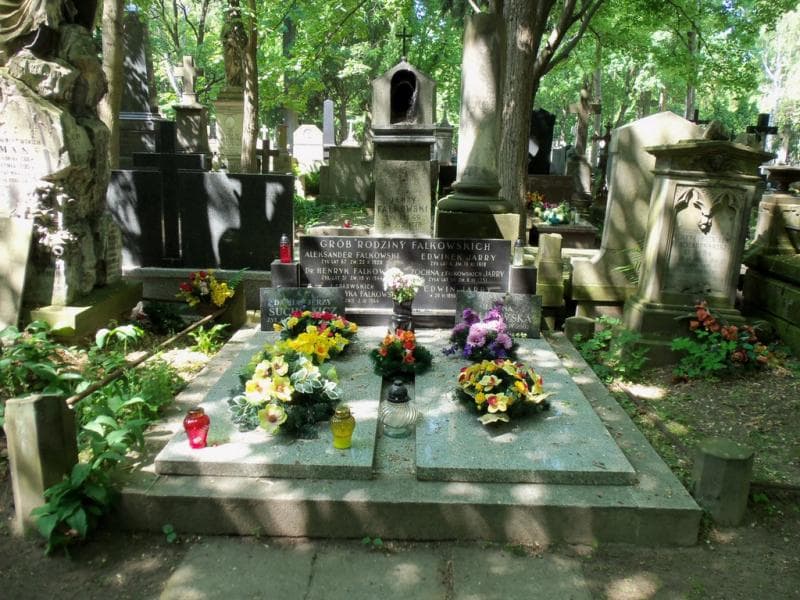 Zdjęcie grobu: Edwin Jarry