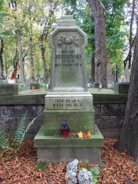 Zdjęcie grobu Wikcia Brzezińska (1)