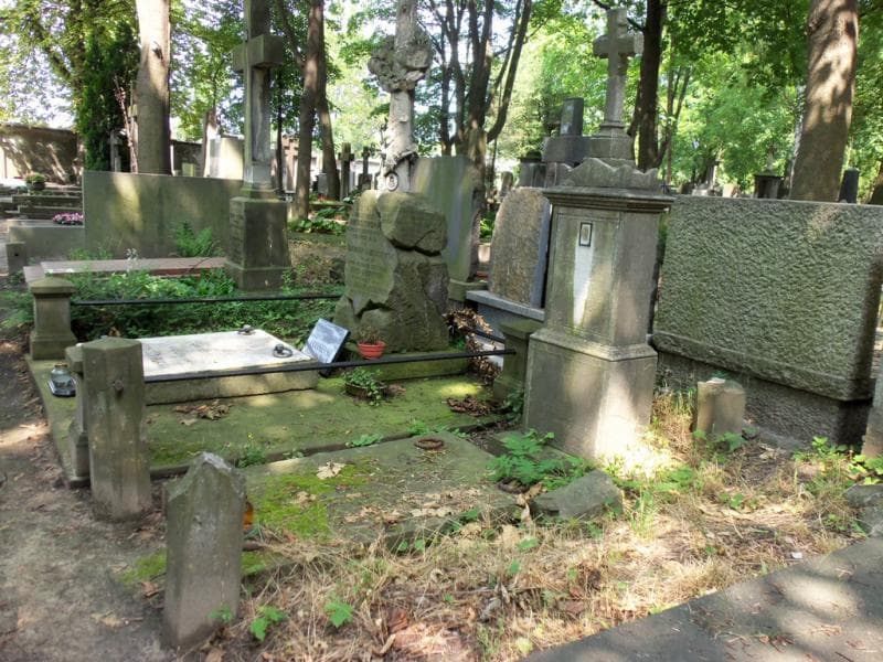 Zdjęcie grobu Julian Walenty Lis Rudnicki (1)