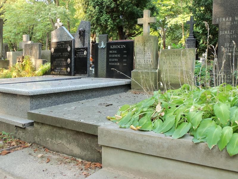 Zdjęcie grobu Krystyna Maksyś (1)