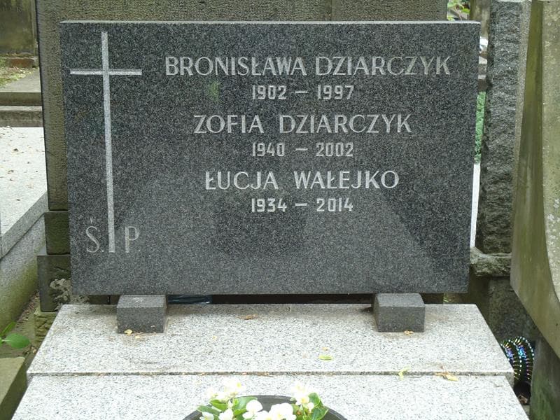 Zdjęcie grobu Wojciech Bielkiewicz (2)