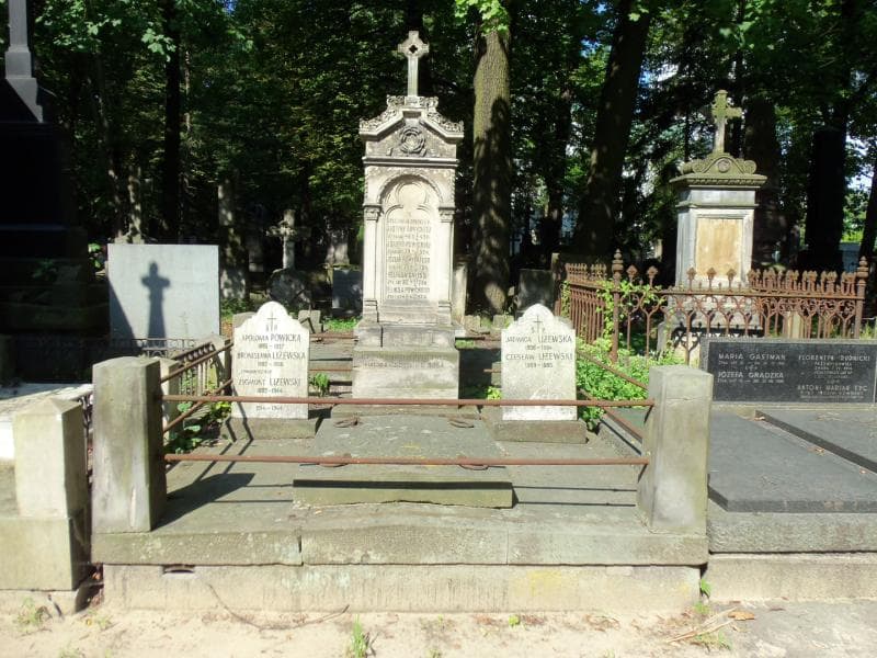 Zdjęcie grobu: Zygmunt Liżewski