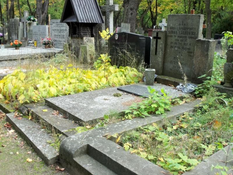 Zdjęcie grobu Halina Ryszkowska (1)