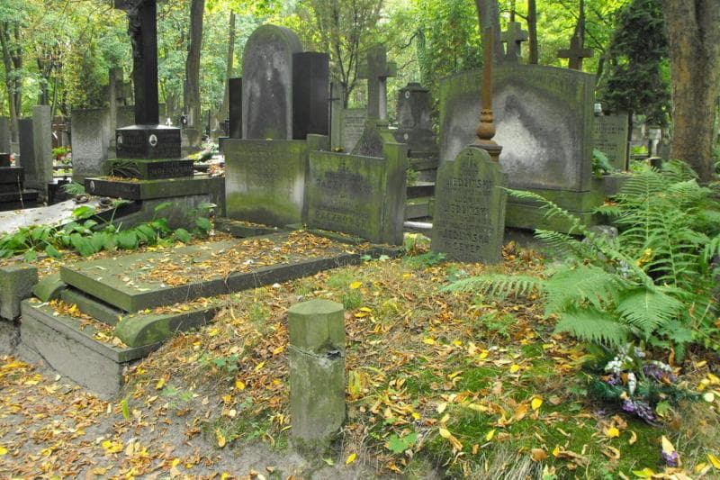Zdjęcie grobu Ludwik Jedliński (1)