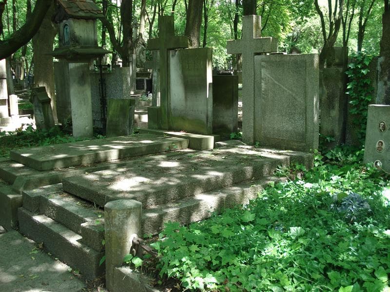 Zdjęcie grobu Anna Gotinowa (1)