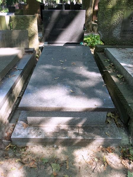 Zdjęcie grobu Anna Rudzińska (1)