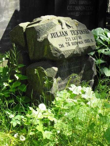 Zdjęcie grobu Franciszek Trzciński (2)