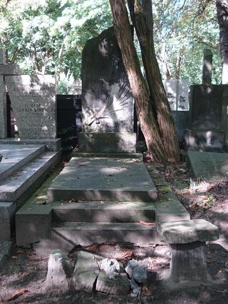 Zdjęcie grobu: Władysława Bauerowa
