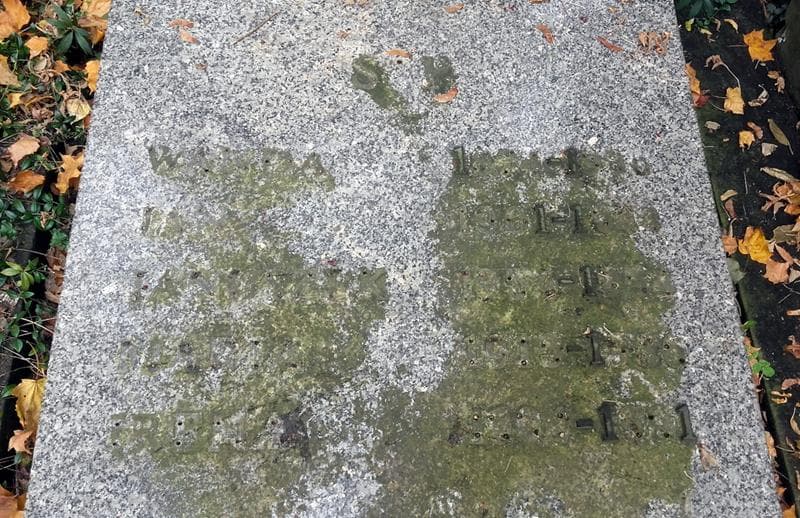 Zdjęcie grobu Wanda ... (2)