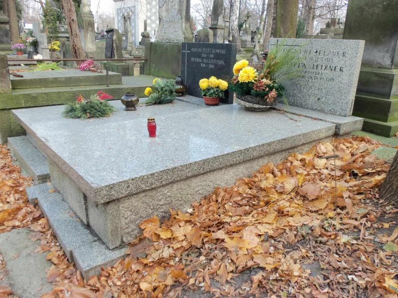 Zdjęcie grobu Józefa Leixner (1)