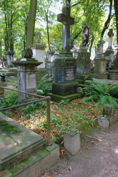 Zdjęcie grobu: Aloizy Roszkowski
