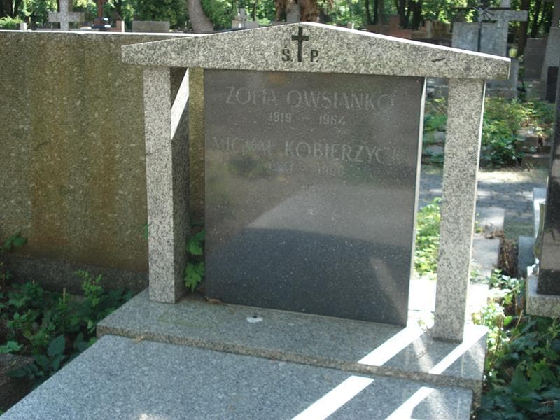 Zdjęcie grobu Michał Kobierzycki (2)