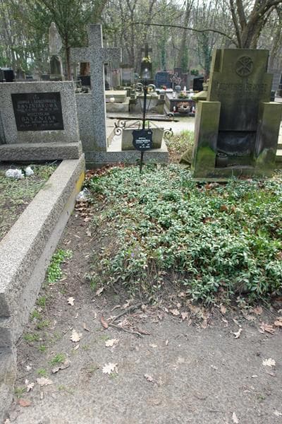 Zdjęcie grobu: Maryla Orłowska