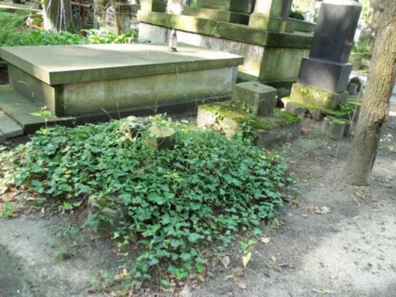 Zdjęcie grobu Wiktorya Perks (1)