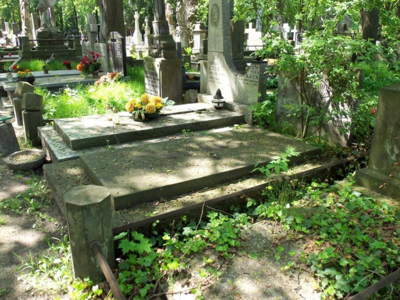 Zdjęcie grobu Zofia Ludwigowa (1)