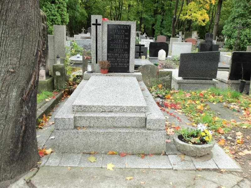 Zdjęcie grobu: Leon Wolnicki