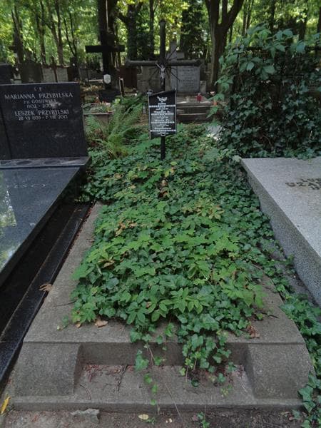 Zdjęcie grobu Stanisław Książkiewicz (1)