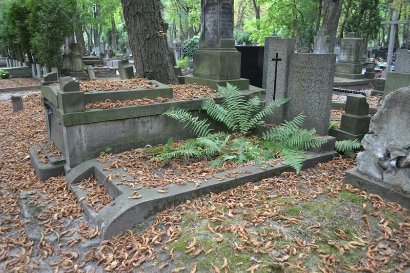 Zdjęcie grobu: Bronisława Tomaszewska