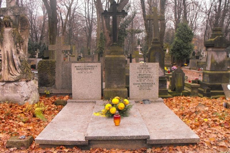 Zdjęcie grobu: Władysław Walter