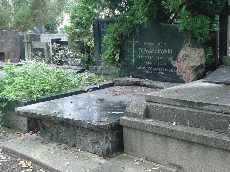 Zdjęcie grobu Henryk Albin Tomaszewski (1)