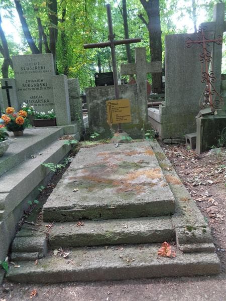 Zdjęcie grobu Bronisław Przybyszewski (1)