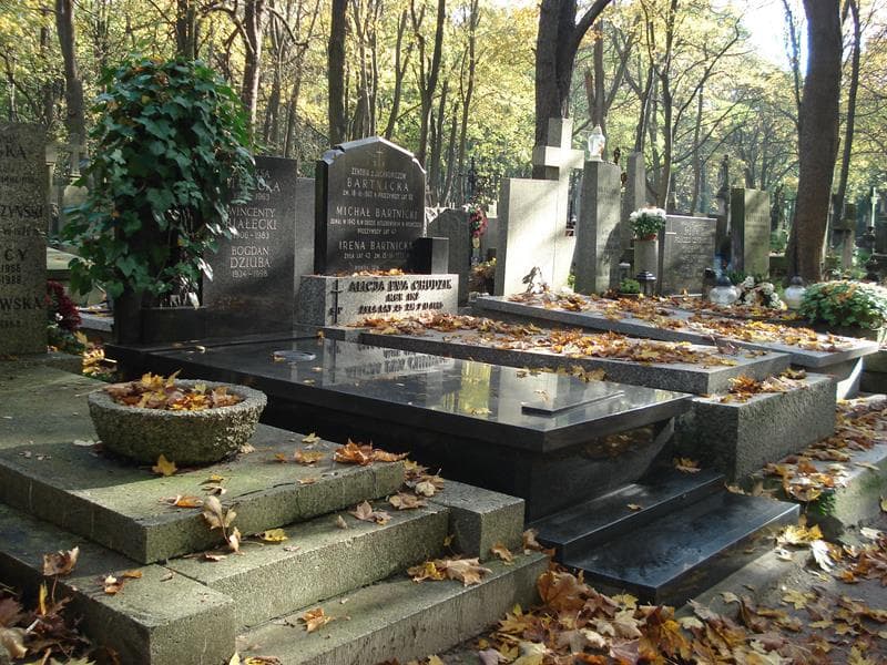 Zdjęcie grobu Wincenty Białecki (1)
