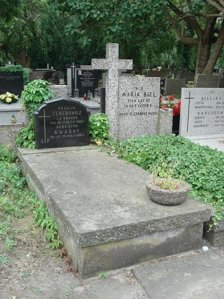 Zdjęcie grobu Rozalia Tenerowicz (1)