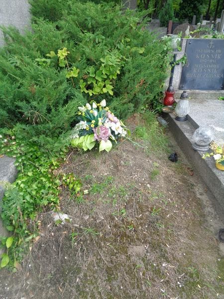 Zdjęcie grobu Pole Grobowe (1)