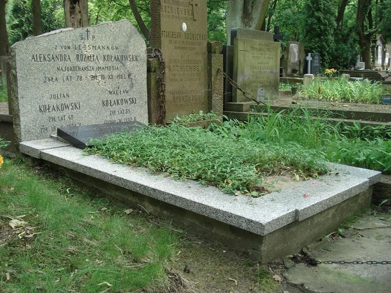 Zdjęcie grobu Helena Kołakowska-Przełomiec (1)