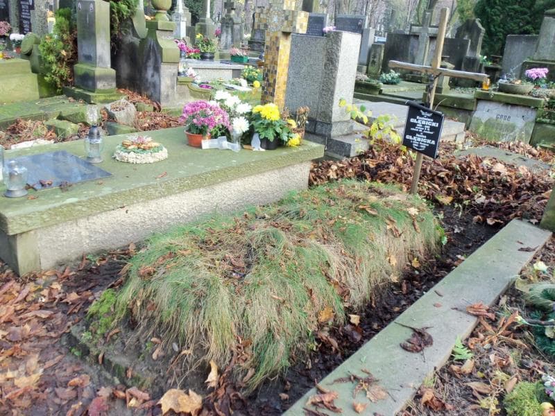 Zdjęcie grobu Kazimierz Głębicki (1)