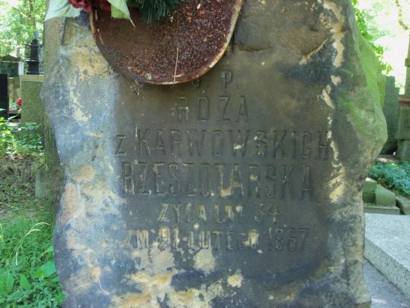 Zdjęcie grobu Róża Rzeszotarska (2)