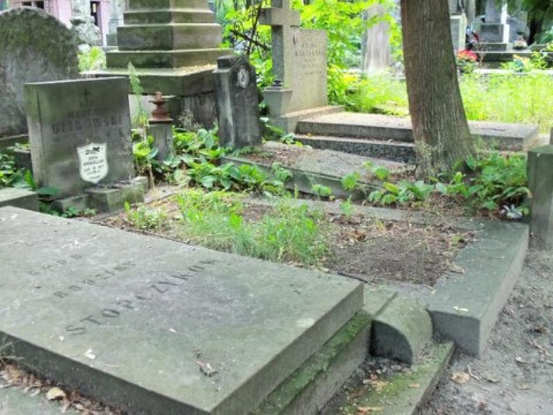 Zdjęcie grobu Zofia Apenceller (1)