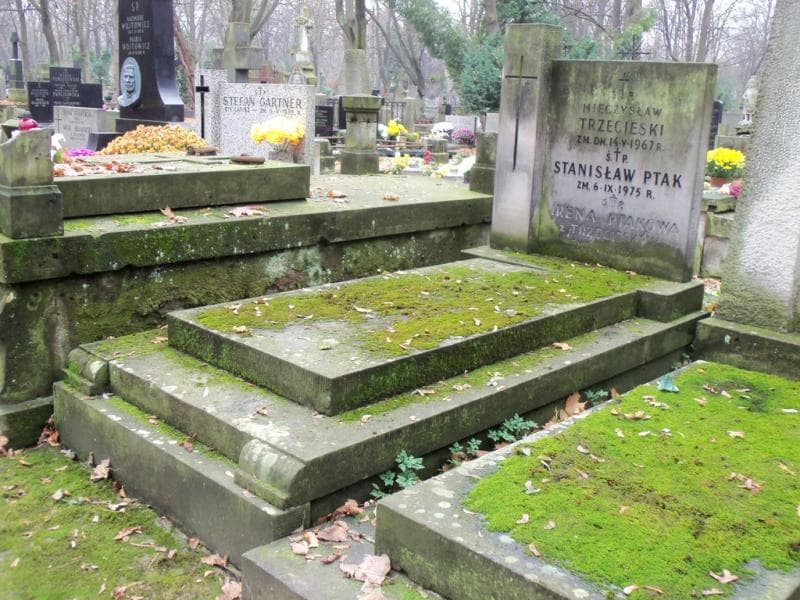 Zdjęcie grobu Mieczysław Trzecieski (1)