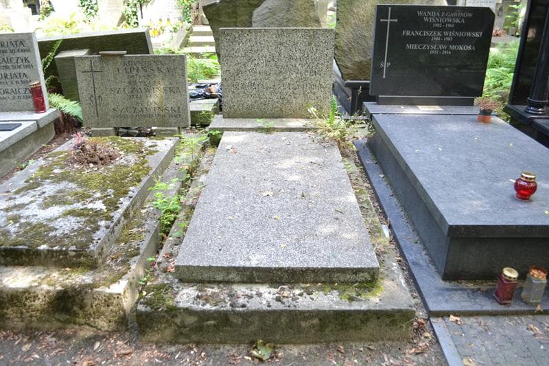 Zdjęcie grobu Stanisława Stryjecka (1)