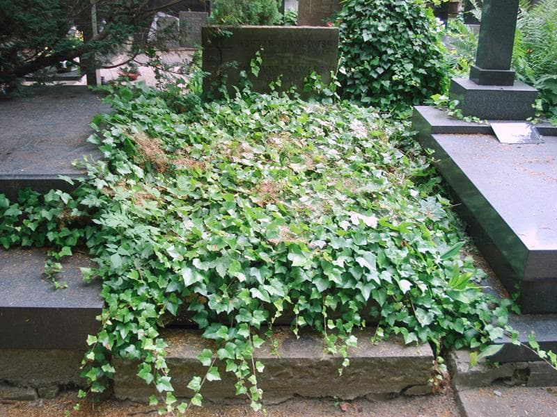 Zdjęcie grobu Bohdan Pawłowski (1)