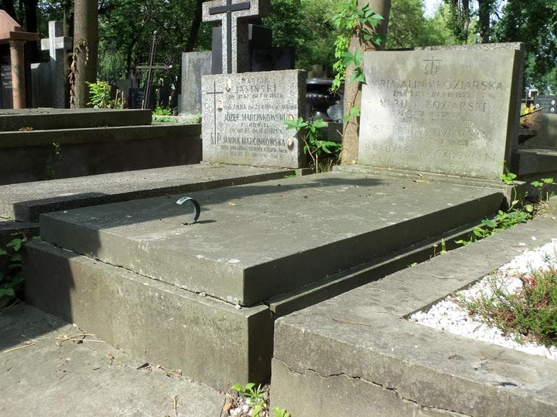 Zdjęcie grobu Władysław Kozłowski (1)