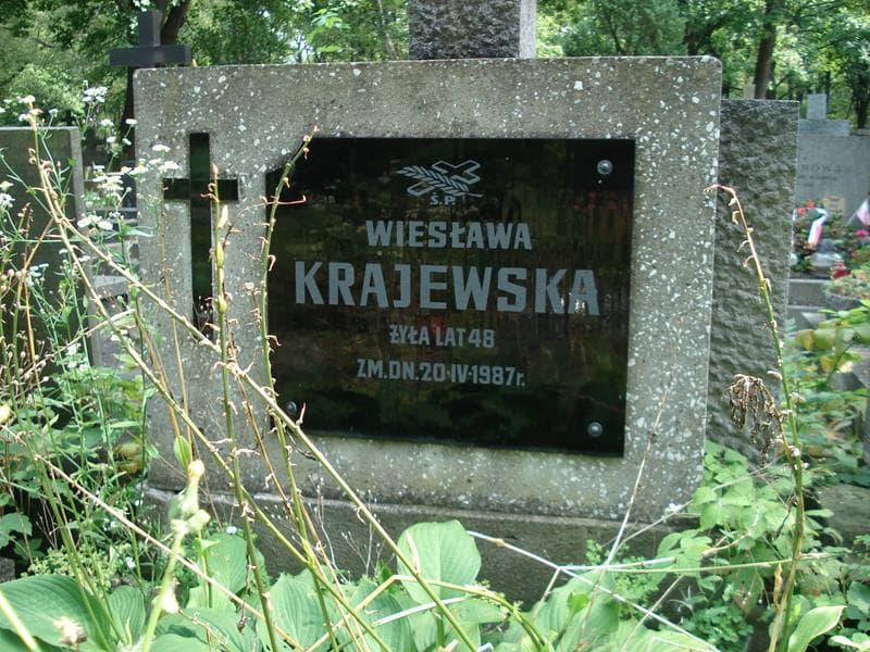 Zdjęcie grobu Wiesława Krajewska (2)