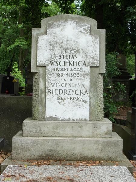 Zdjęcie grobu Walentyna Biedrzycka (2)