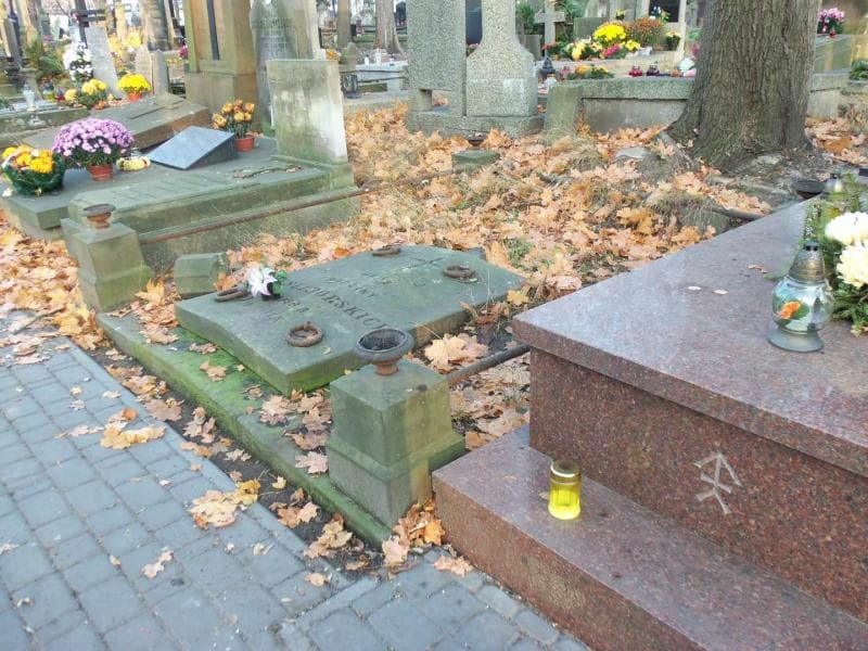Zdjęcie grobu Myśliborscy (1)