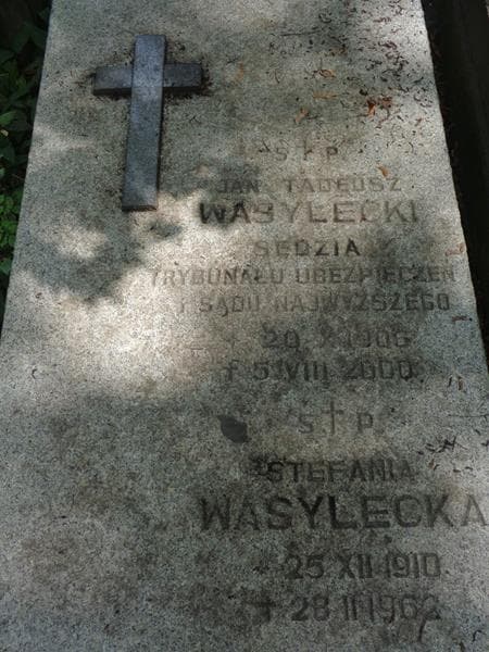 Zdjęcie grobu Stefania Wasylecka (2)