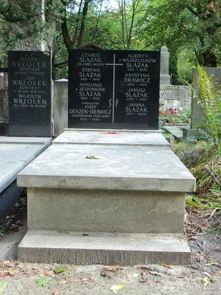Zdjęcie grobu: Krystyna Drawicz