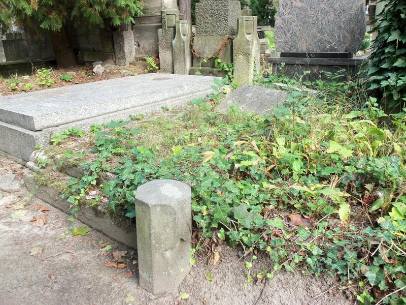 Zdjęcie grobu Maria Kuczyńska (1)