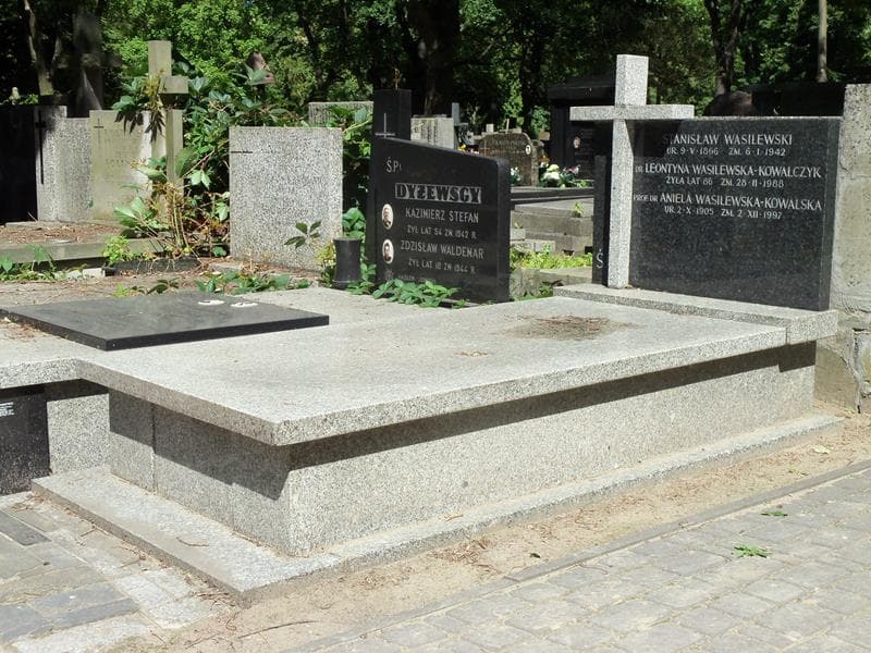 Zdjęcie grobu Stanisław Wasilewski (1)