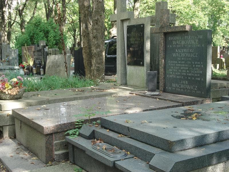 Zdjęcie grobu Kazimierz Wachowicz (1)