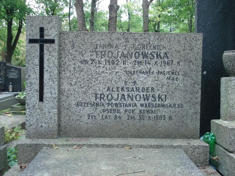 Zdjęcie grobu Aleksander Trojanowski (2)